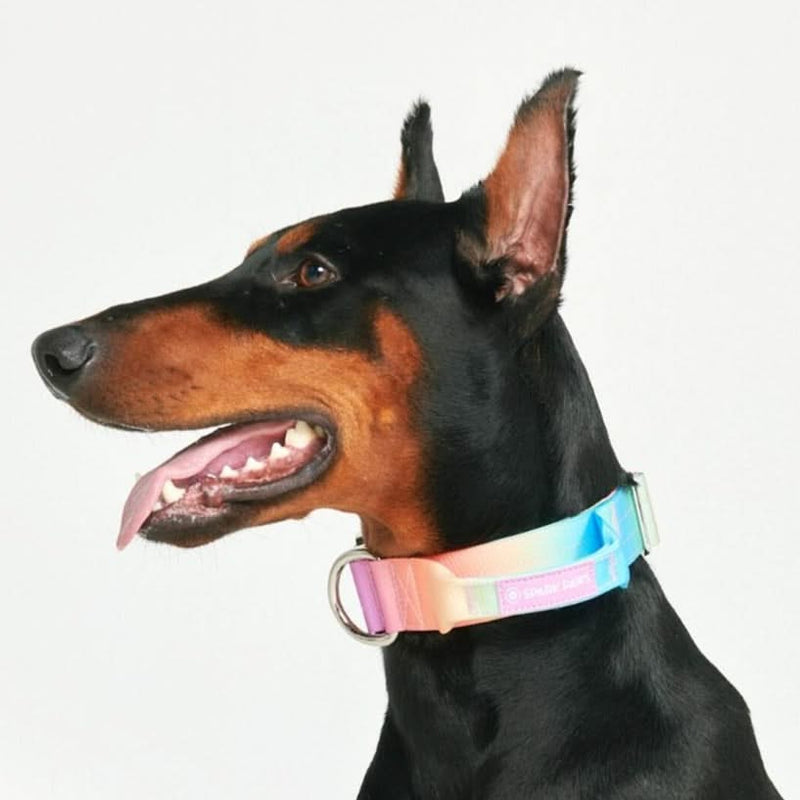 戦術的な犬用首輪 - パステルアイシング