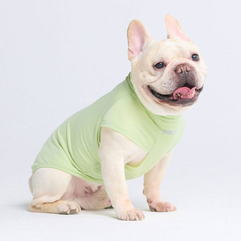 日焼け止め犬用Tシャツ - ライトグリーン