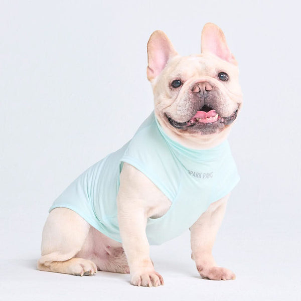 日焼け止め犬用Tシャツ - ライトブルー