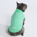 日焼け止め犬 T シャツ - ミント