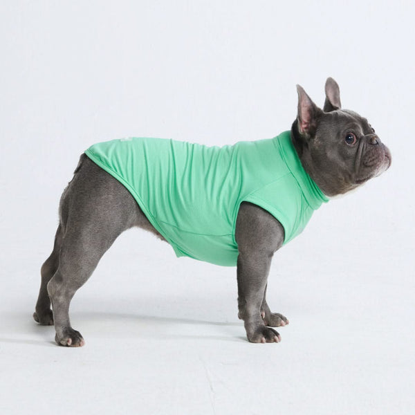 日焼け止め犬 T シャツ - ミント