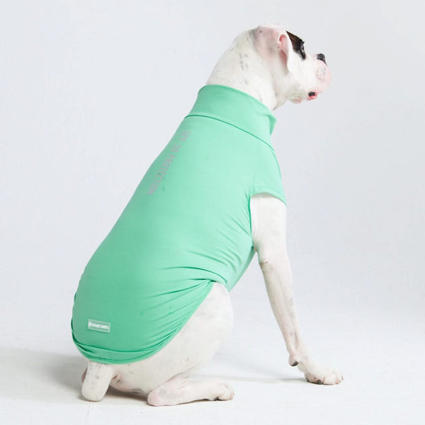 日焼け止め犬 T シャツ - ミント