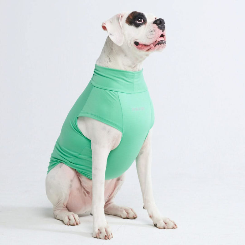 日焼け止め犬 T シャツ - ミント