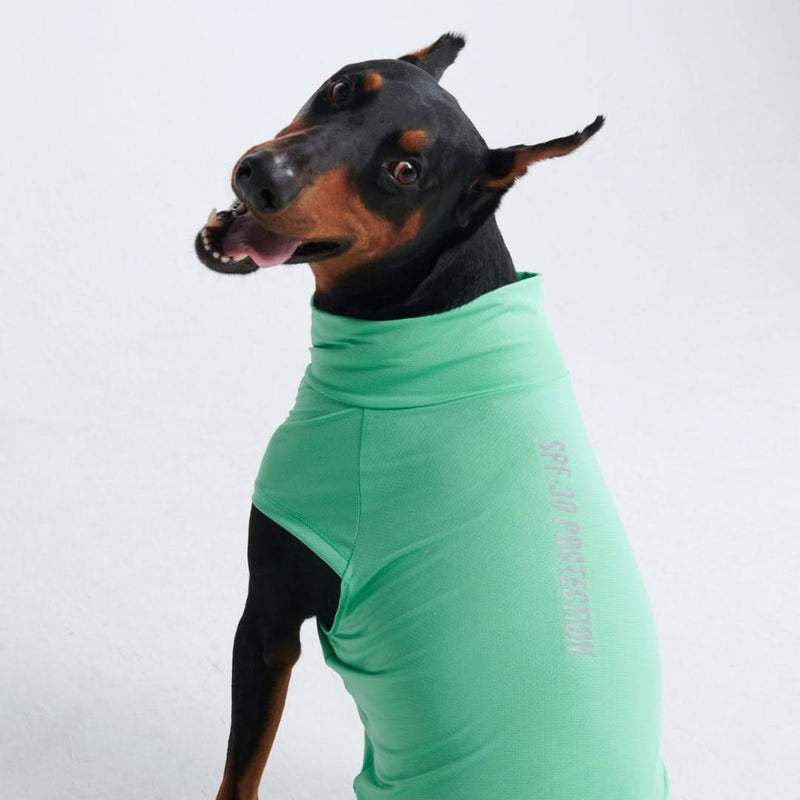 日焼け止め犬 T シャツ - ミント