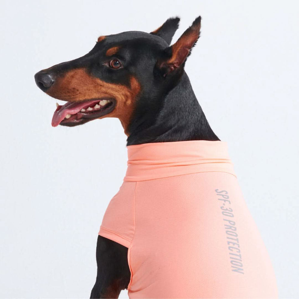 日焼け止め犬 T シャツ - ピーチ – SPARK PAWS