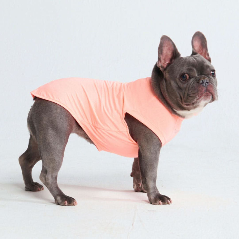 日焼け止め犬 T シャツ - ピーチ – SPARK PAWS