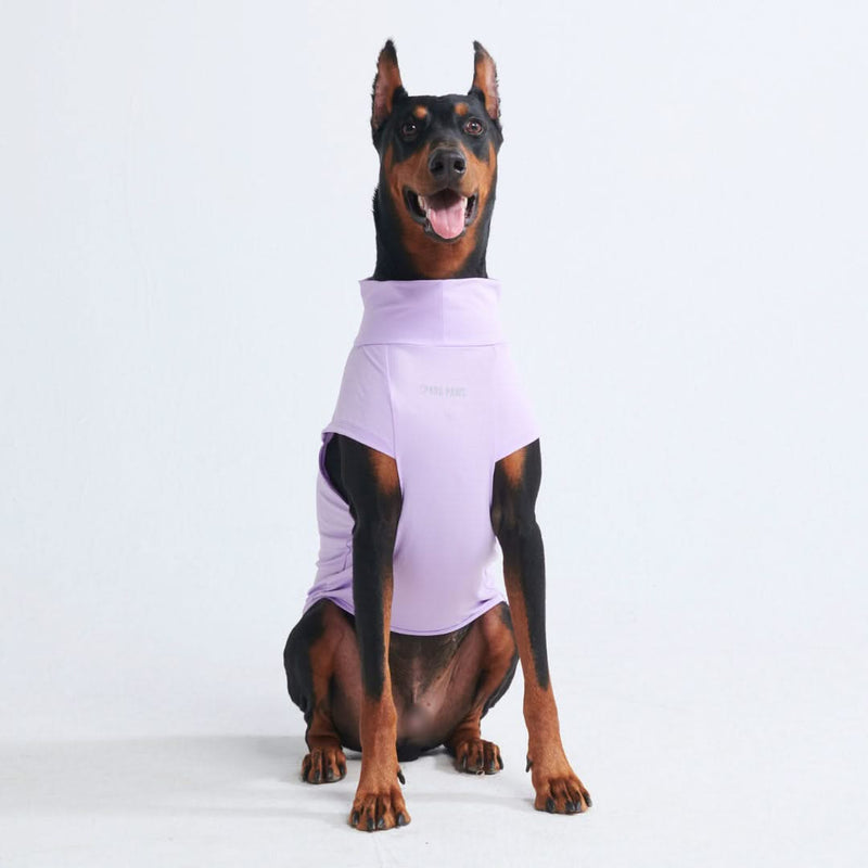日焼け止め犬 T シャツ - パープル