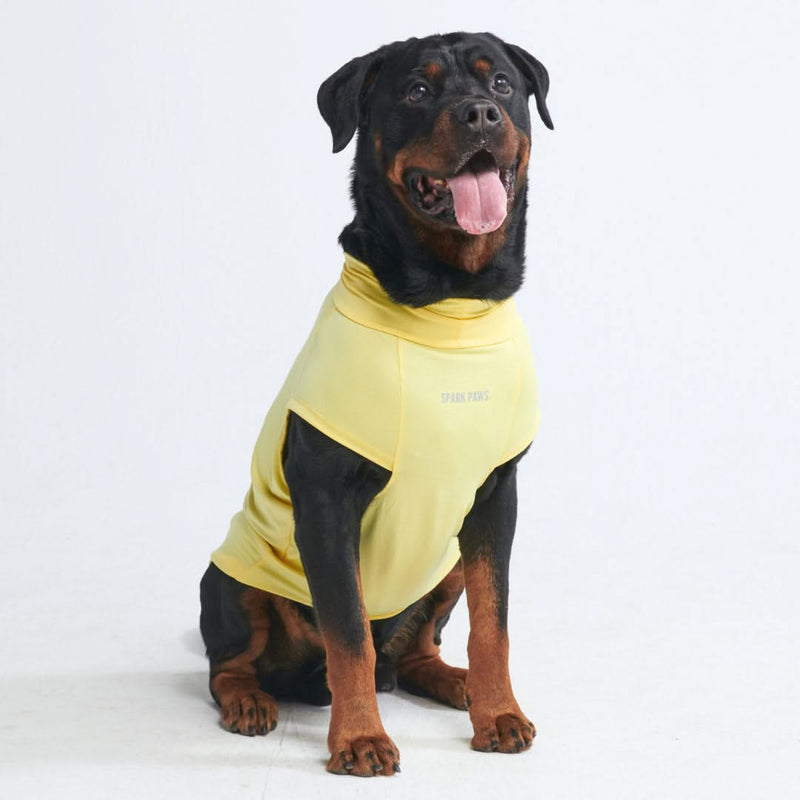 日焼け止め犬 T シャツ - イエロー
