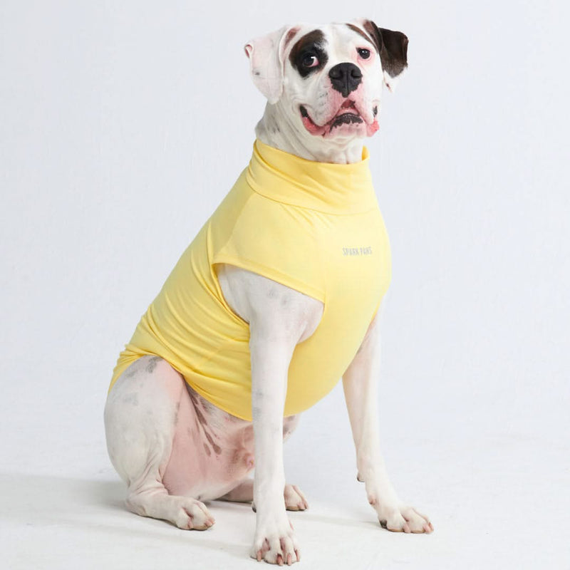 日焼け止め犬 T シャツ - イエロー