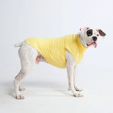 日焼け止め犬 T シャツ - イエロー