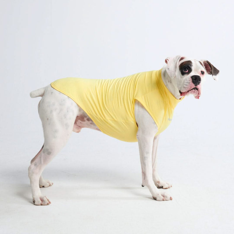日焼け止め犬 T シャツ - イエロー
