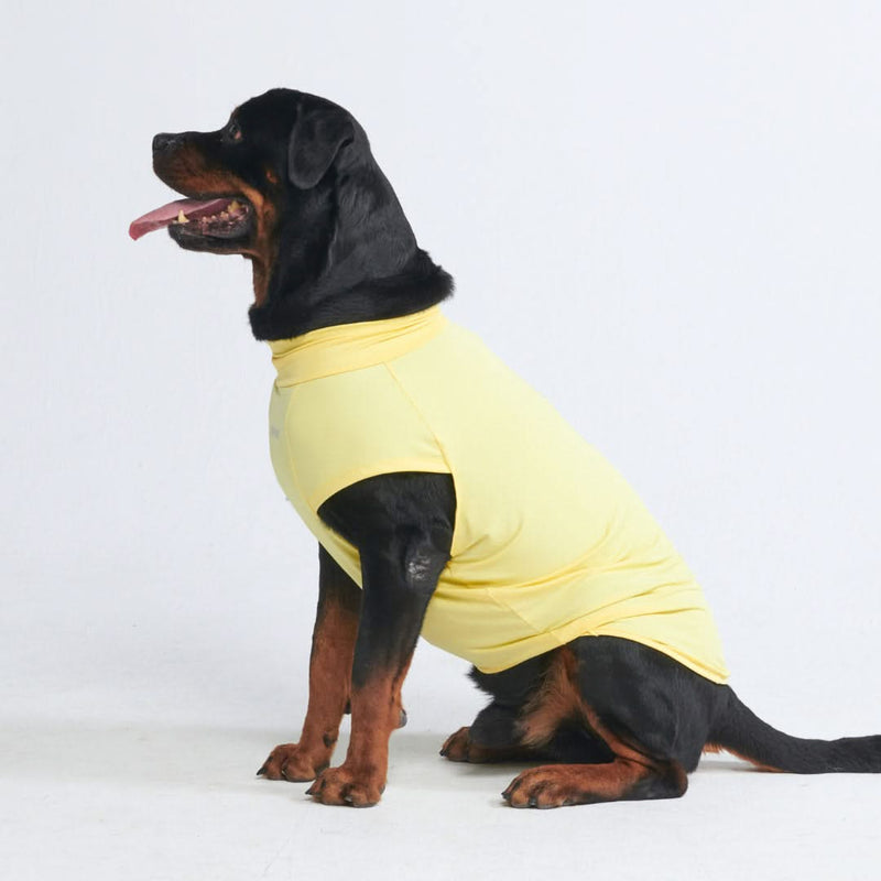 日焼け止め犬 T シャツ - イエロー