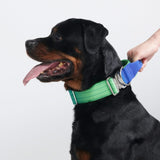 戦術的な犬用首輪 - ライムウェーブ