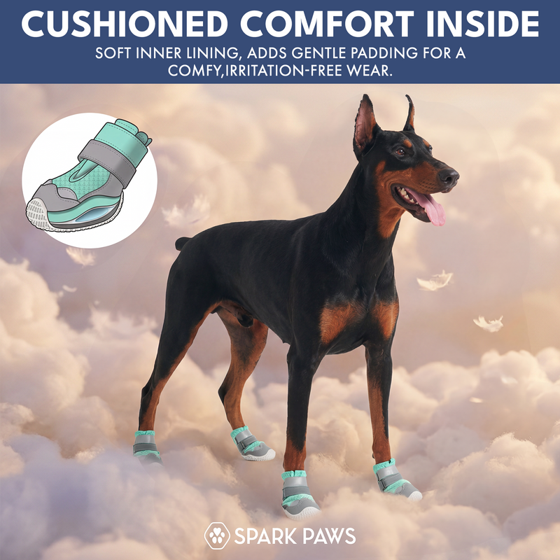 ホットペイブメント ポウテクター ドッグシューズ ティール – SPARK PAWS