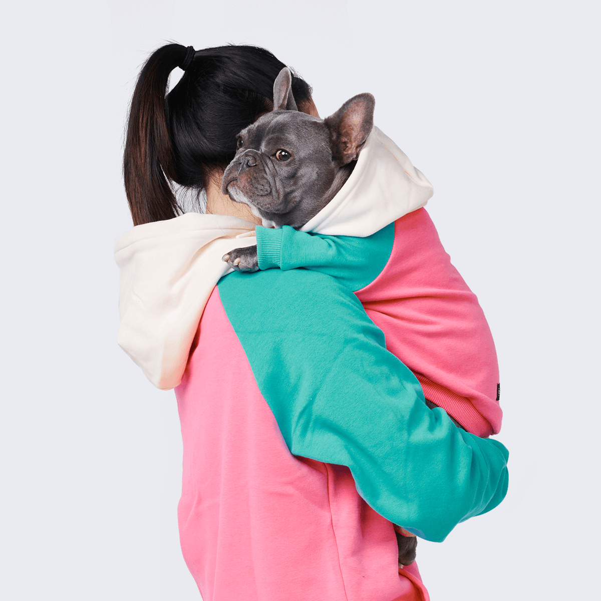 Top Deals – SPARK PAWS