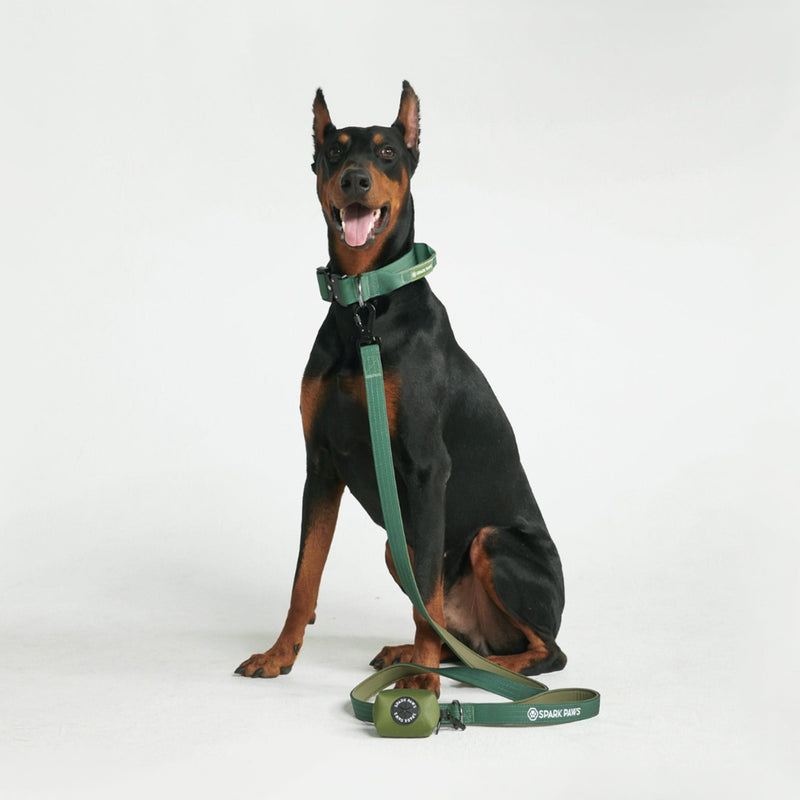 戦術的な犬用首輪セット - マルチカラー (1.5"/4cm)