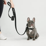 戦術的な犬用首輪セット - マルチカラー (1.5"/4cm)