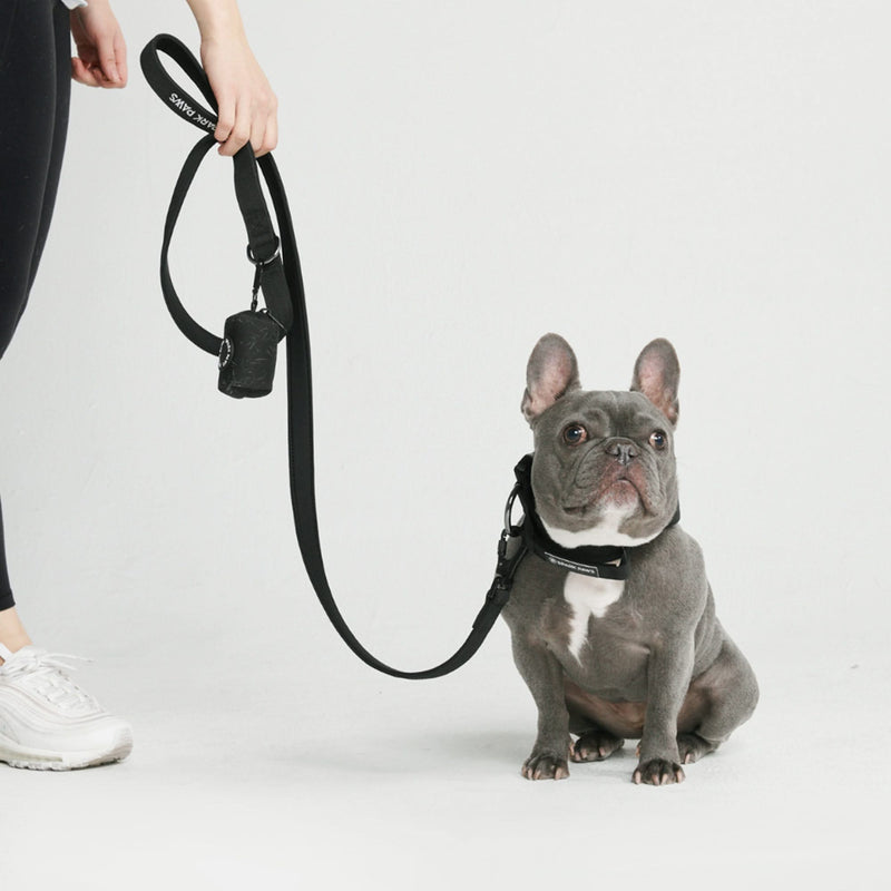 戦術的な犬用首輪セット - マルチカラー (1.5"/4cm)