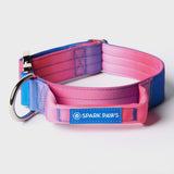 戦術的な犬用首輪セット - スノーコーン (1.5"/4cm)