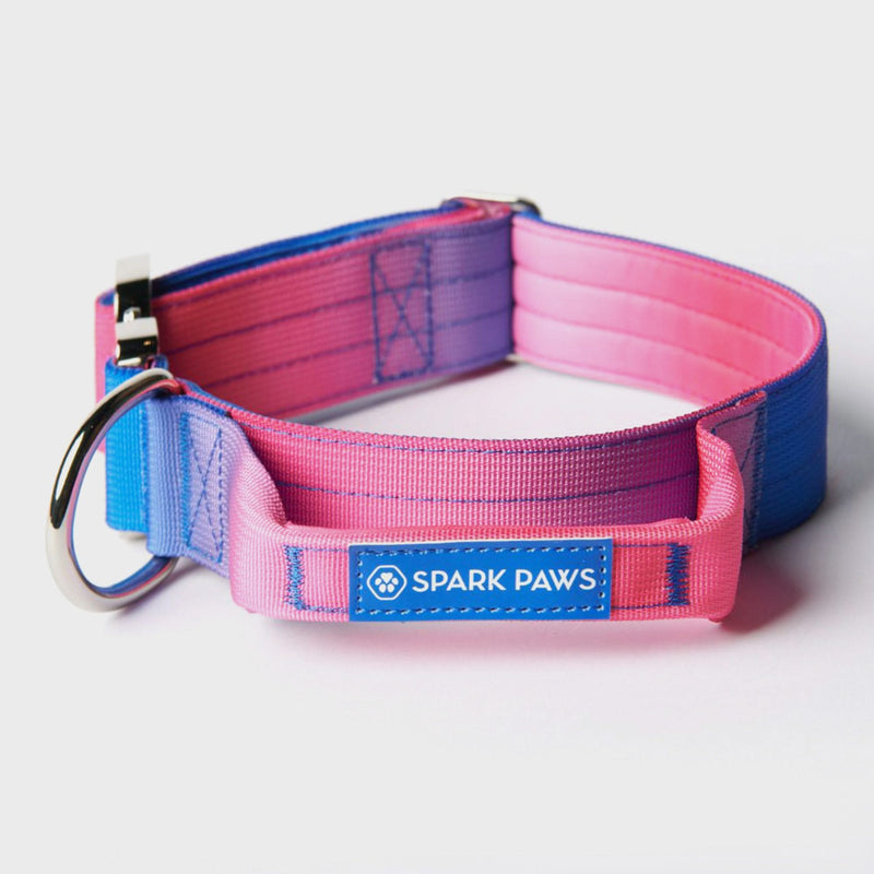 戦術的な犬用首輪セット - スノーコーン (1.5"/4cm)