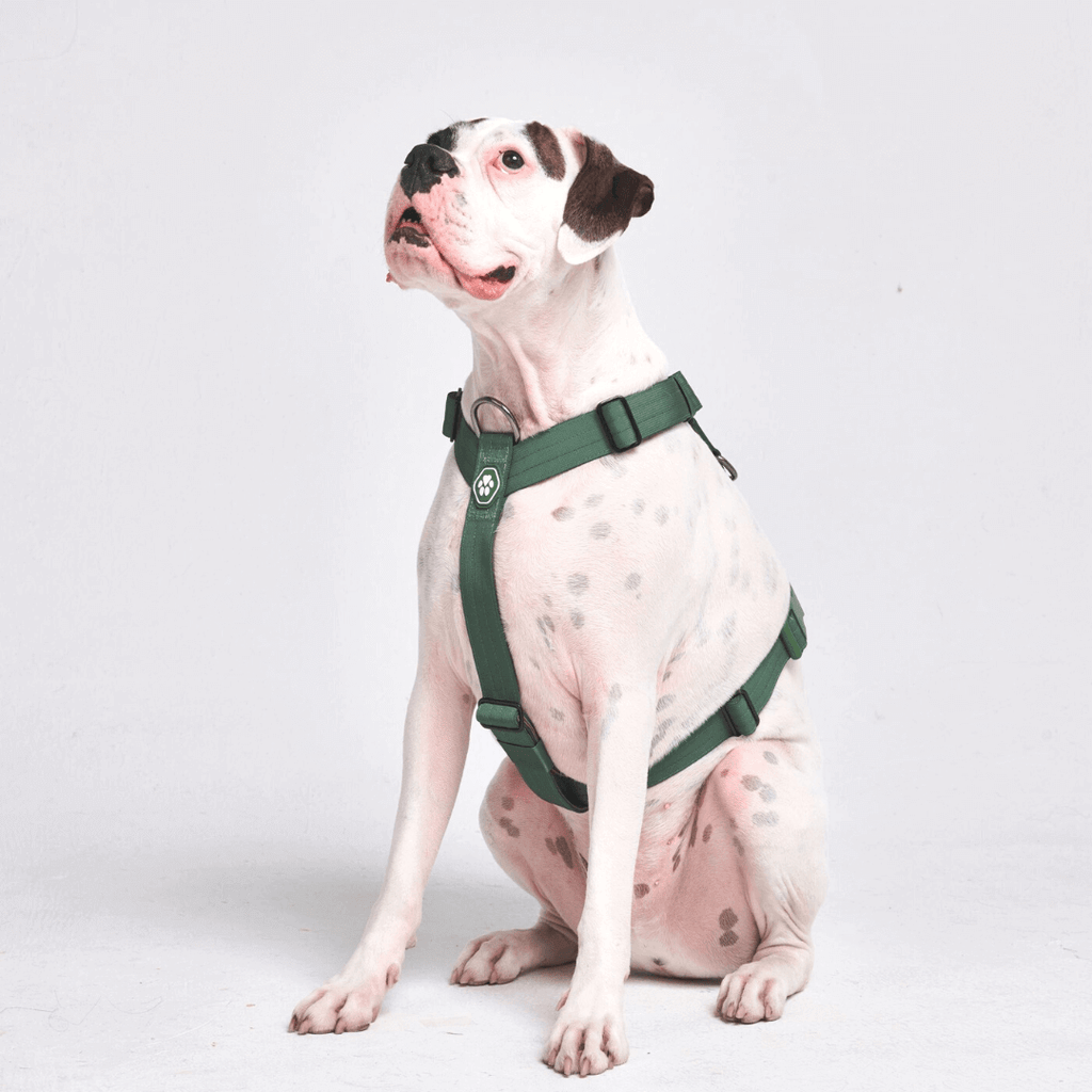 SPARK PAWS 犬用ハーネス Sサイズ 緑 SPARK PAWS 犬用ハーネス Sサイズ 緑