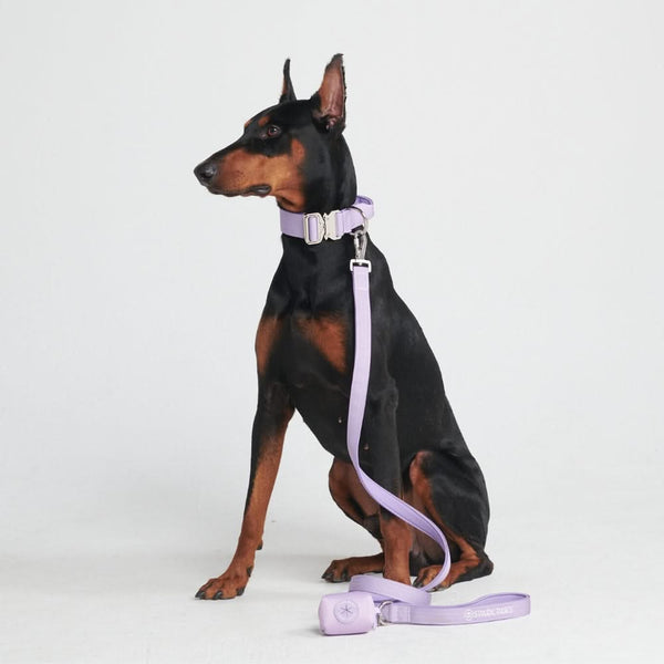 戦術的な犬用首輪セット - ライラック (1.5"/4cm)