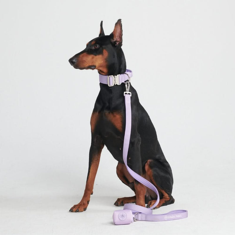 戦術的な犬用首輪セット - ライラック (1.5"/4cm)