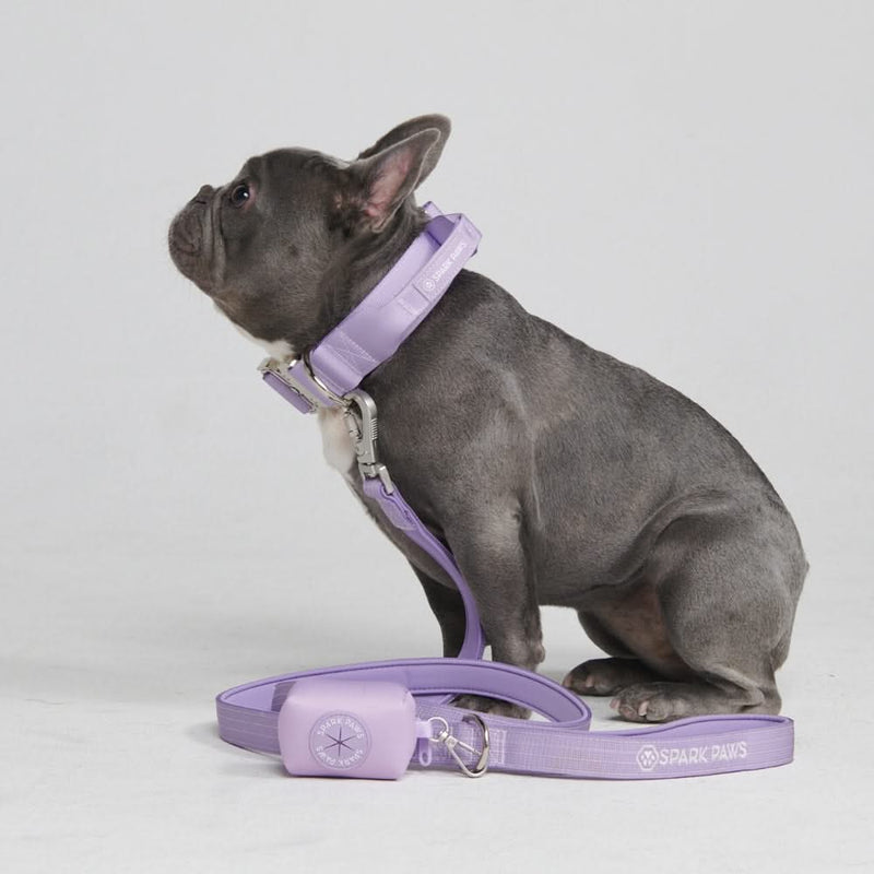 戦術的な犬用首輪セット - ライラック (1.5"/4cm)
