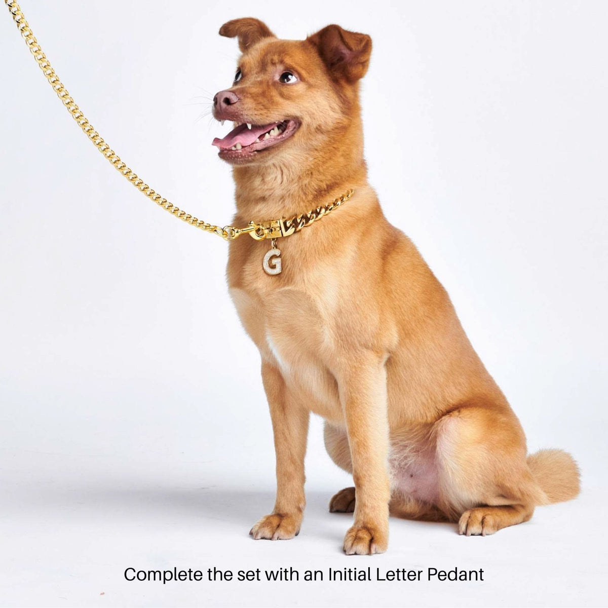 Cuban Link Gold Chain Dog Collar | Heavy Duty Dog Chains – SPARK PAWS