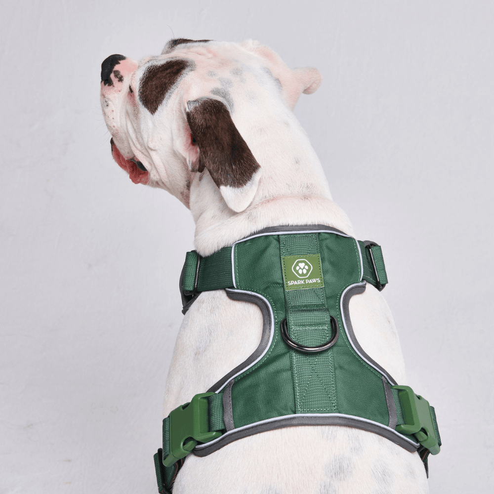 SPARK PAWS 犬用ハーネス Sサイズ 緑芦屋ロサブランリボンハット SPARK PAWS 犬用ハーネス Sサイズ 緑芦屋ロサブランリボンハット