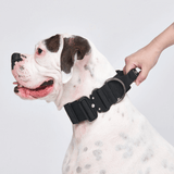 戦術的な犬用首輪 - マルチカラー (2"/5cm)
