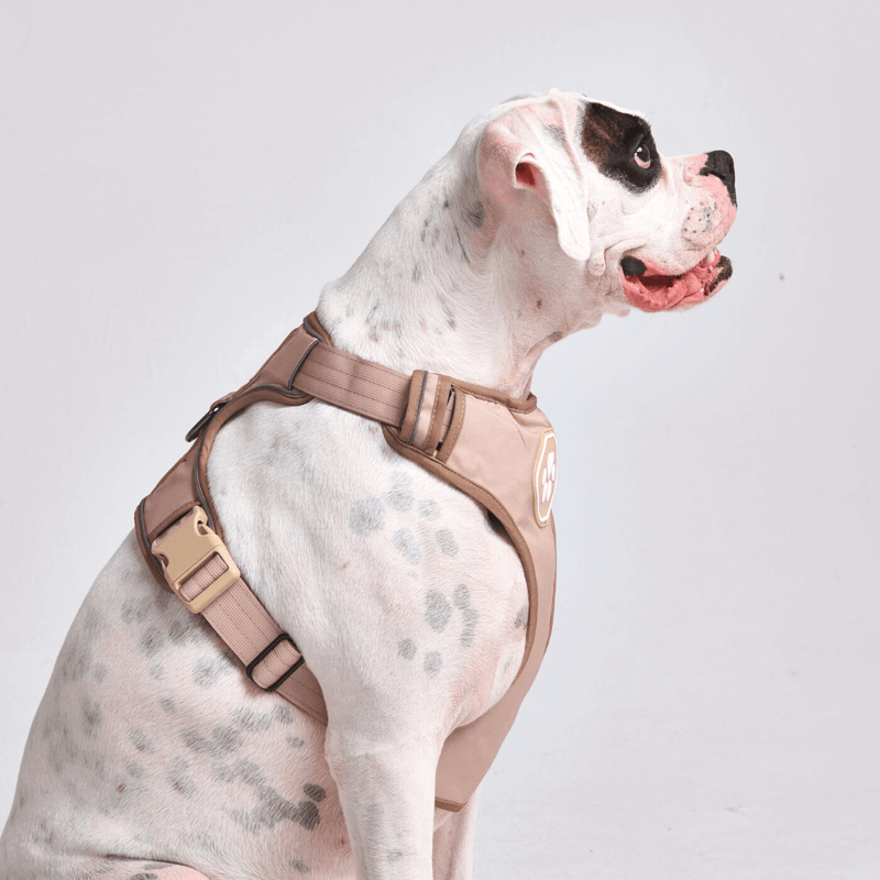 コンフォート コントロール ハーネス - タン - [サイズ S] 20kg/45ポンドまでの犬用