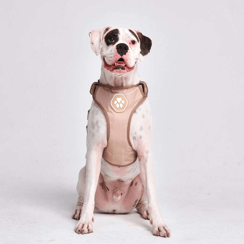 コンフォート コントロール ハーネス - タン - [サイズ S] 20kg/45ポンドまでの犬用