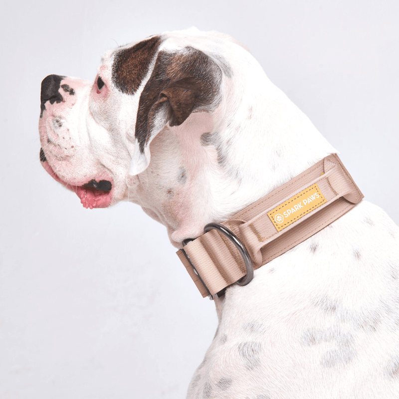 戦術的な犬用首輪 - タン (2"/5cm)