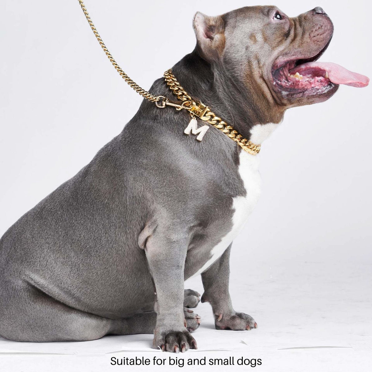 Cuban Link Gold Chain Dog Collar | Heavy Duty Dog Chains – SPARK PAWS