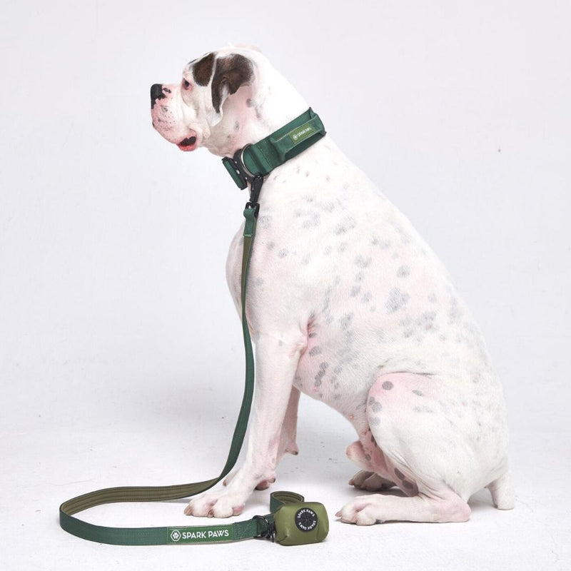 戦術的な犬用首輪セット - アーミーグリーン