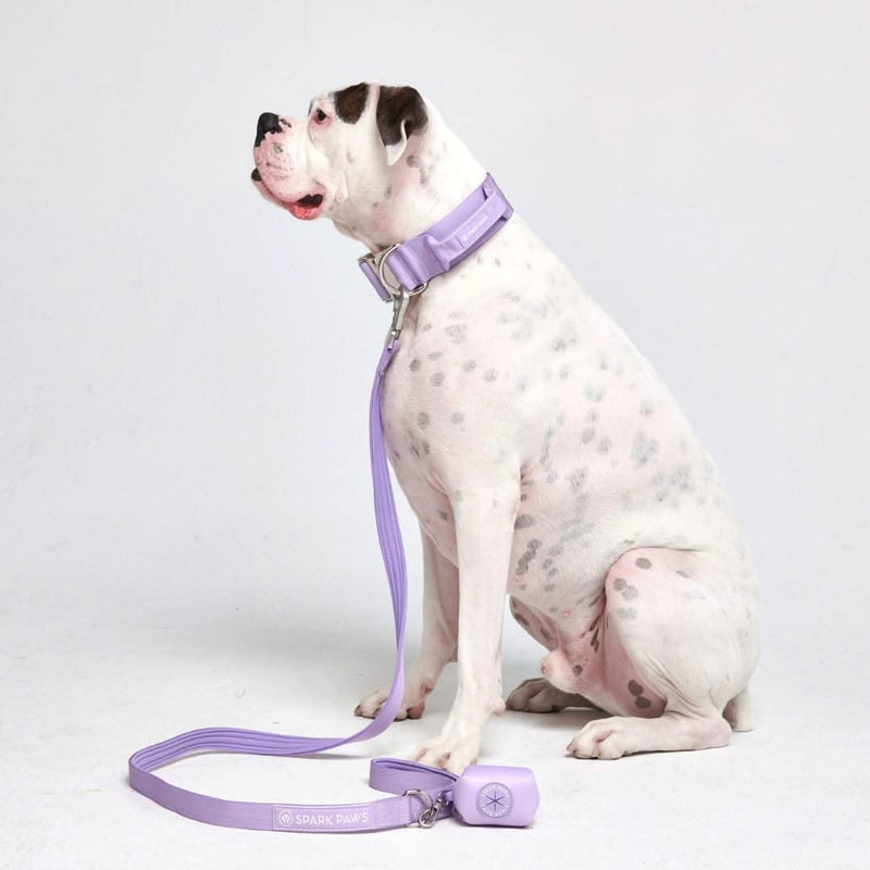 戦術的な犬用首輪セット - ライラック (2"/5cm)
