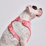 コンフォート コントロール ハーネス - ピンク - [サイズ S] 20kg/45ポンドまでの犬用