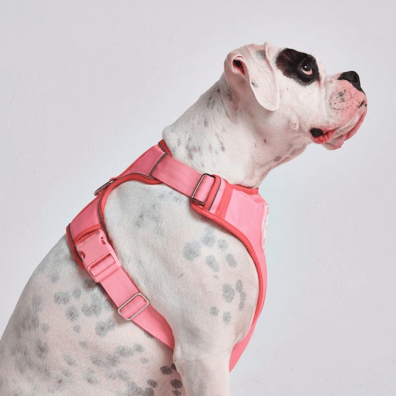 コンフォート コントロール ハーネス - ピンク - [サイズ S] 20kg/45ポンドまでの犬用