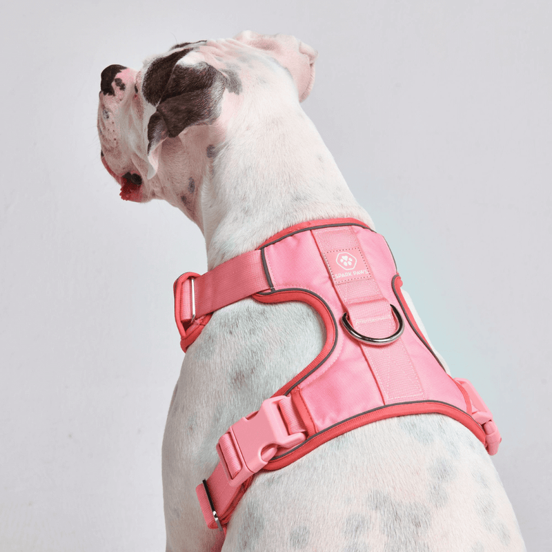 コンフォート コントロール ハーネス - ピンク - [サイズ S] 20kg/45ポンドまでの犬用