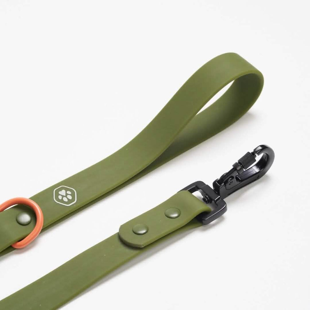 PVC防水ドッグリード - グリーン – SPARK PAWS