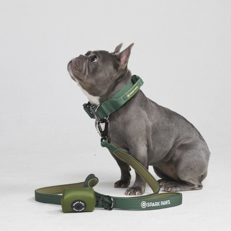 戦術的な犬用首輪セット - アーミーグリーン (1.5"/4cm)