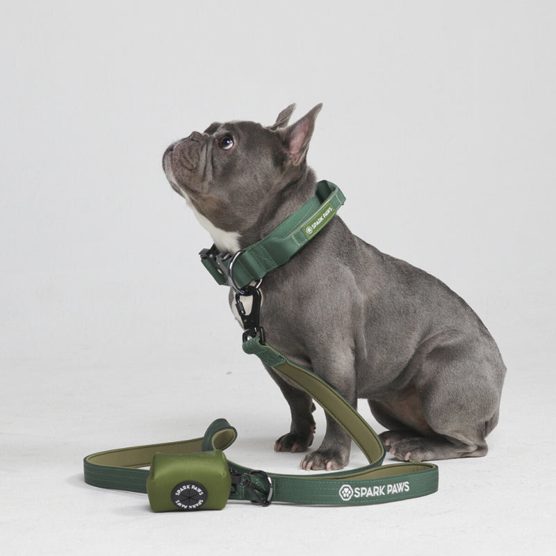戦術的な犬用首輪セット - アーミーグリーン (1.5"/4cm)