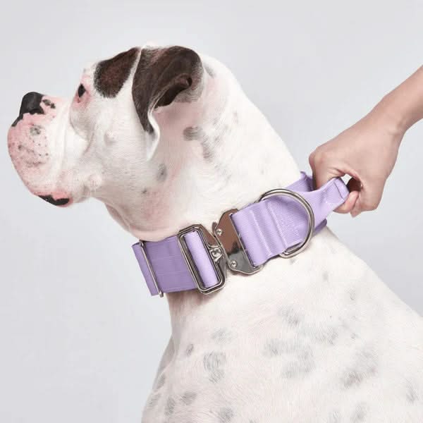 戦術的な犬用首輪 - マルチカラー (2"/5cm)