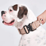 戦術的な犬用首輪 - マルチカラー (2"/5cm)