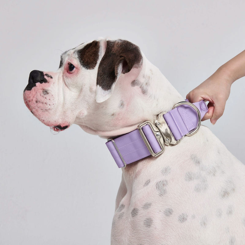戦術的な犬用首輪セット - ライラック (2"/5cm)