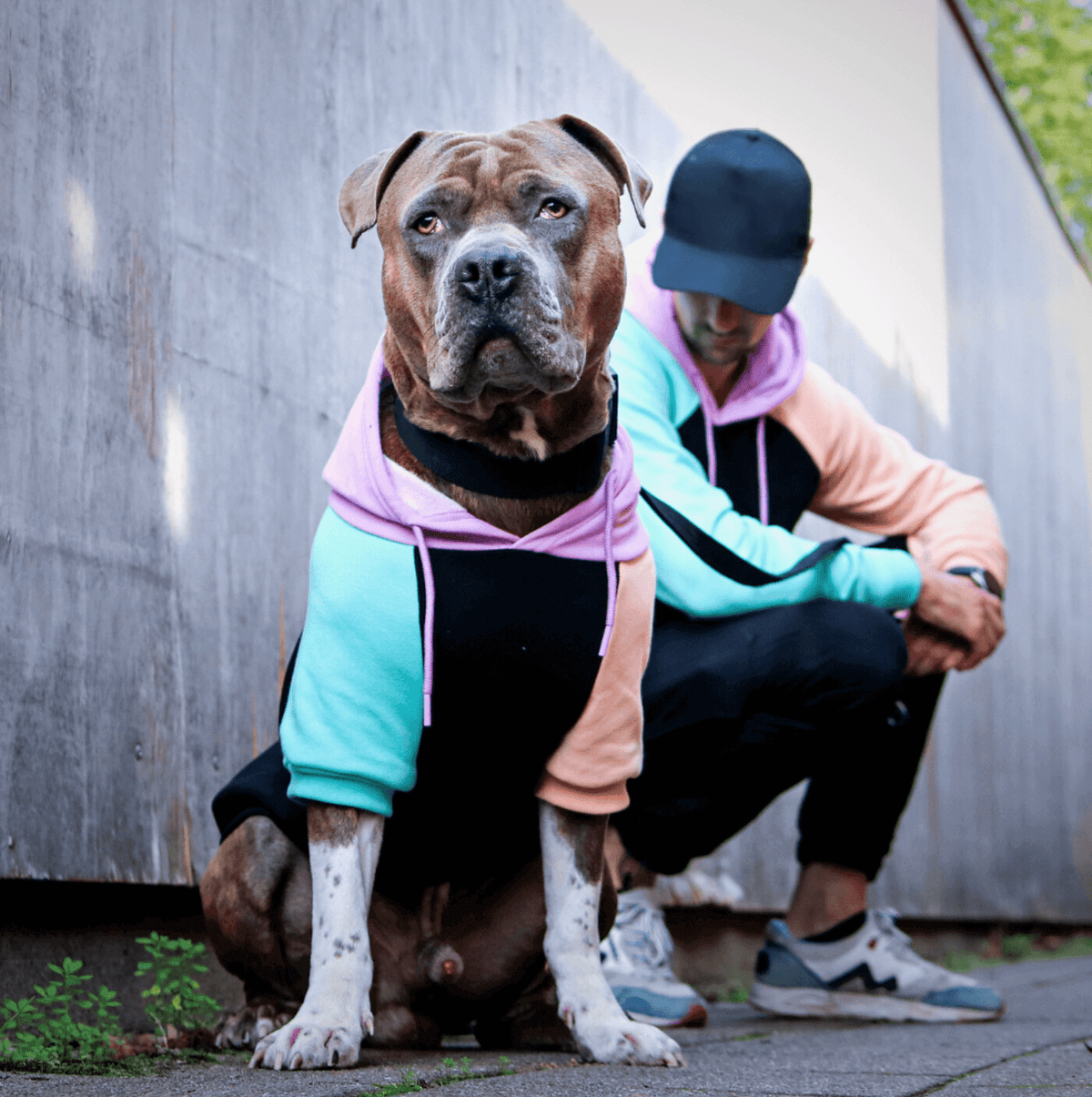 【*犬様 Supreme ダークブルー パーカー Supreme（パーカー）のフリマアイテム一覧