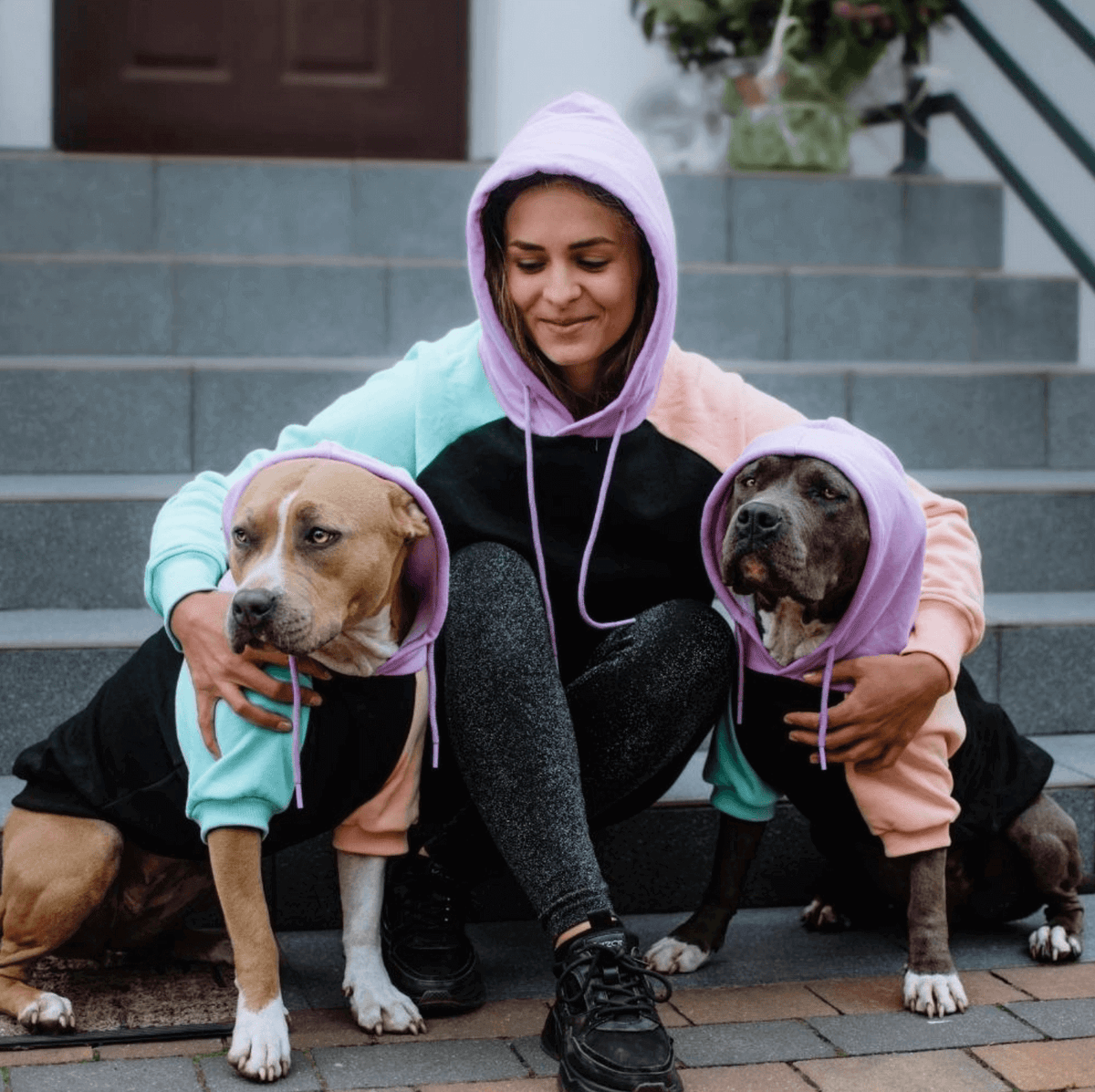 Purple Teal Mango Black Color-block Human Hoodie (Dog Matching