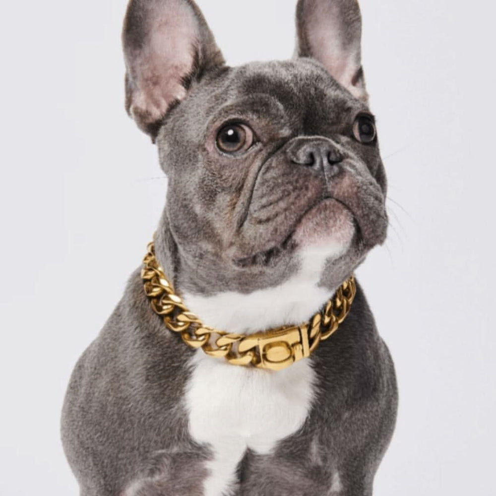 Miami Cuban Link 20mm Dog Gold Chain | Stainless Steel Thick Chain