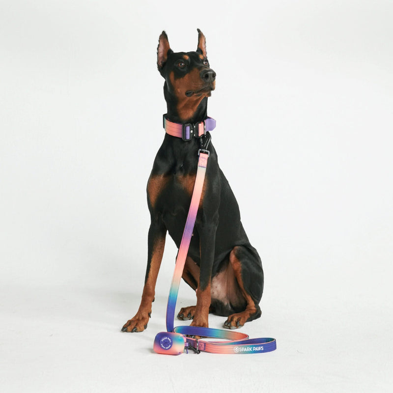 コンフォートコントロール犬用リード - 万華鏡